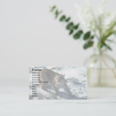 Carte De Visite Bobcat sur la neige (Debout devant)