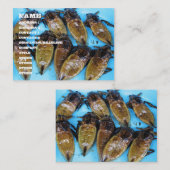 Carte De Visite Bogue d'eau géant frit (Maeng Daa) ... Alimentatio (Devant / Derrière)