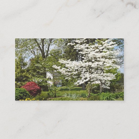 Carte De Visite Bois de chien en fleurs (Dos)