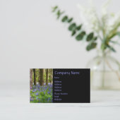 Carte De Visite Bois de jacinthe des bois (Debout devant)