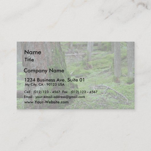 Carte De Visite Bois moussus de forêts d'arbres (Devant)