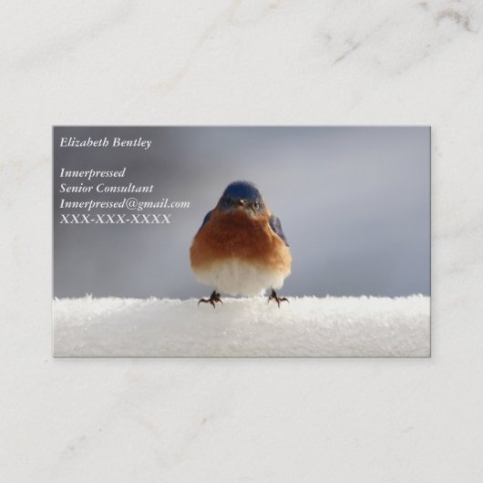 Carte de visite Bold Bluebird (Devant)