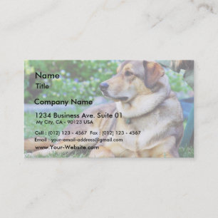 Carte De Visite Bon chien