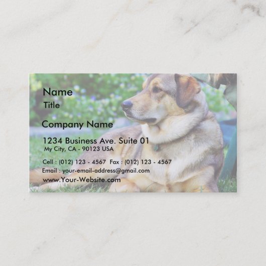 Carte De Visite Bon chien (Devant)