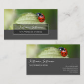 Carte De Visite Bonne chance ladybugs pointillés élégant rectangle (Devant / Derrière)