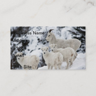 Carte De Visite Bonne famille de moutons