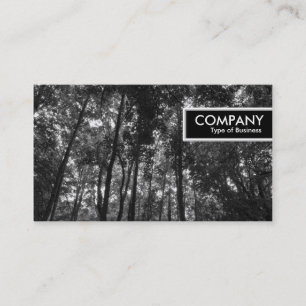 Carte De Visite Bordure - Canopée de forêt 02 NB