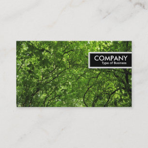 Carte De Visite Bordure - Canopée de la forêt