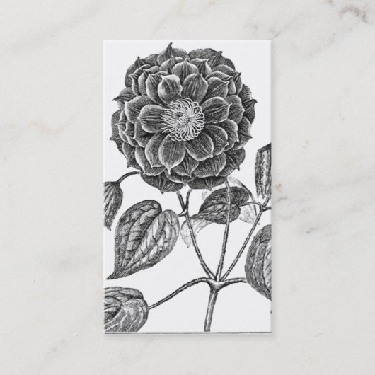 Carte De Visite Botanique de fleurs (Devant)