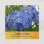 Carte de visite botanique de plumbago bleu (Devant)