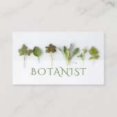 Carte de visite botaniste feuille (Devant)