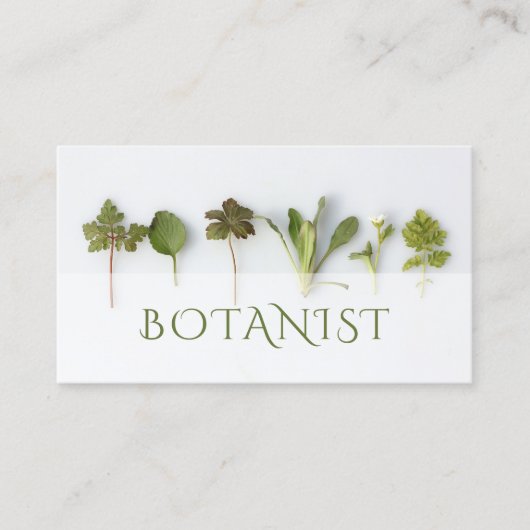 Carte de visite botaniste feuille (Devant)