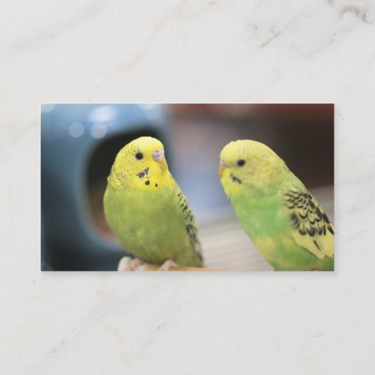 Carte De Visite Bouchons sérieux (Dos)