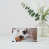 Carte De Visite Boucle (Debout devant)