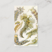 Carte De Visite Boues de mer par Ernst Haeckel, Nudibranchia Vinta (Dos)