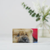 Carte De Visite Bouffe de bouffe douce (Debout devant)