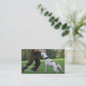 Carte De Visite Bouledogue d'Américain de Schutzhund (Debout devant)
