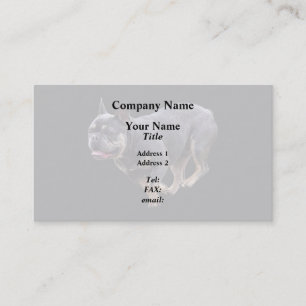 Carte De Visite Bouledogue français en course