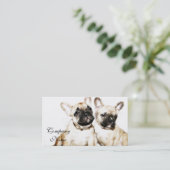 Carte De Visite Bouledogues français (Debout devant)