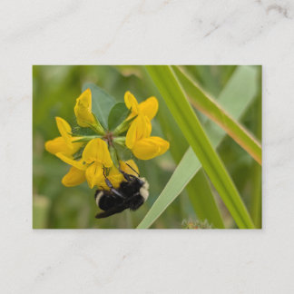 Carte De Visite Bourdon sur une fleur sauvage jaune