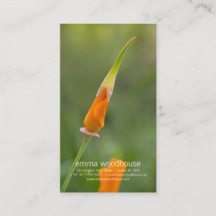 Carte De Visite Bourgeon orange de pavot de Californie