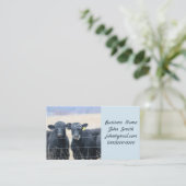 Carte De Visite Bovine Bystanders (Debout devant)
