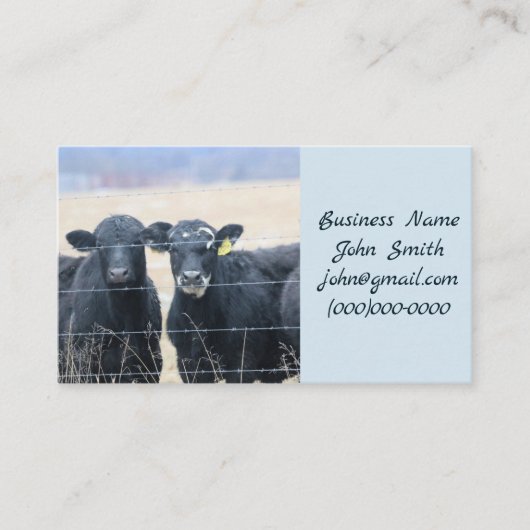 Carte De Visite Bovine Bystanders (Devant)