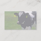 Carte De Visite Bovins de Holstein (Dos)