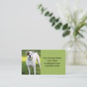 Carte De Visite Boxer (Debout devant)