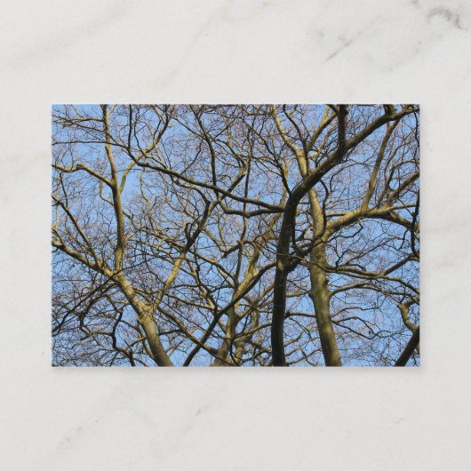 Carte De Visite Branches (Devant)