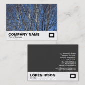 Carte De Visite Branches de bouleau d'argent 02 (Devant / Derrière)