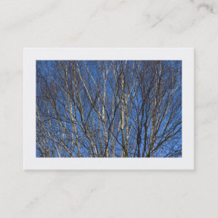 Carte De Visite Branches de bouleau d'argent 02 (Bordé)