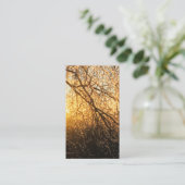 Carte De Visite branches de glace (Debout devant)