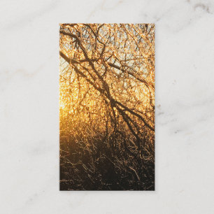 Carte De Visite branches de glace