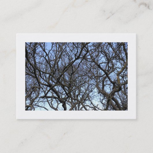 Carte De Visite Branches de l'arbre Magnolia (Bordé) (Devant)