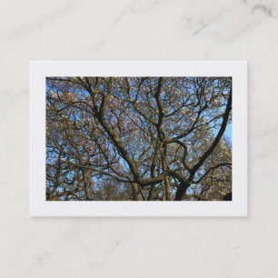 Carte De Visite Branches de magnolia au début du printemps (bordée
