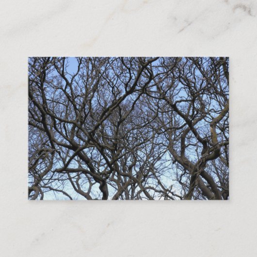 Carte De Visite Branches des arbres Magnolia (Devant)