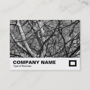 Carte De Visite Branches d'hiver illuminées (B&W)
