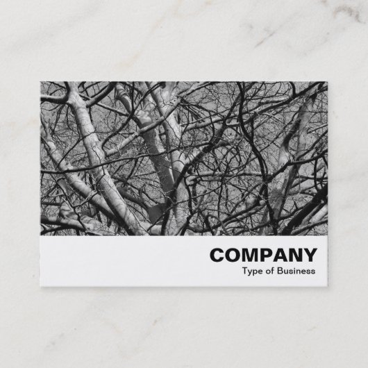 Carte De Visite Branches d'hiver illuminées (B&W) (Devant)