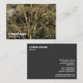 Carte De Visite Branches d'or (Devant / Derrière)