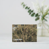 Carte De Visite Branches d'or (Debout devant)