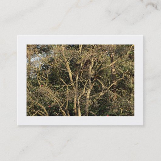 Carte De Visite Branches d'or (Bordé) (Devant)