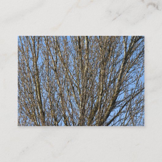 Carte De Visite Branches ensoleillées (Devant)