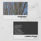 Carte De Visite Branches ensoleillées (Devant / Derrière)