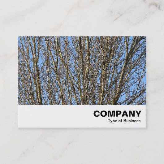 Carte De Visite Branches ensoleillées (Devant)