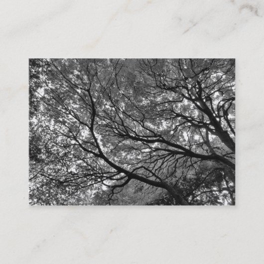 Carte De Visite Branches et Feuilles (Devant)