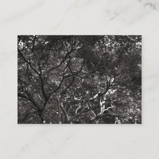 Carte De Visite Branches japonaises 01 (Devant)