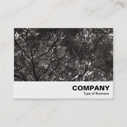 Carte De Visite Branches japonaises 01 (Devant)