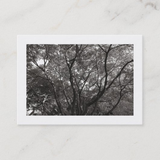 Carte De Visite Branches japonaises 02 (Devant)
