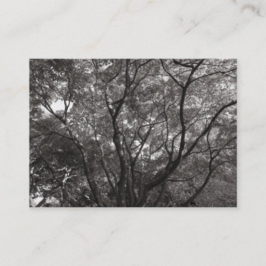 Carte De Visite Branches japonaises 02 (Devant)